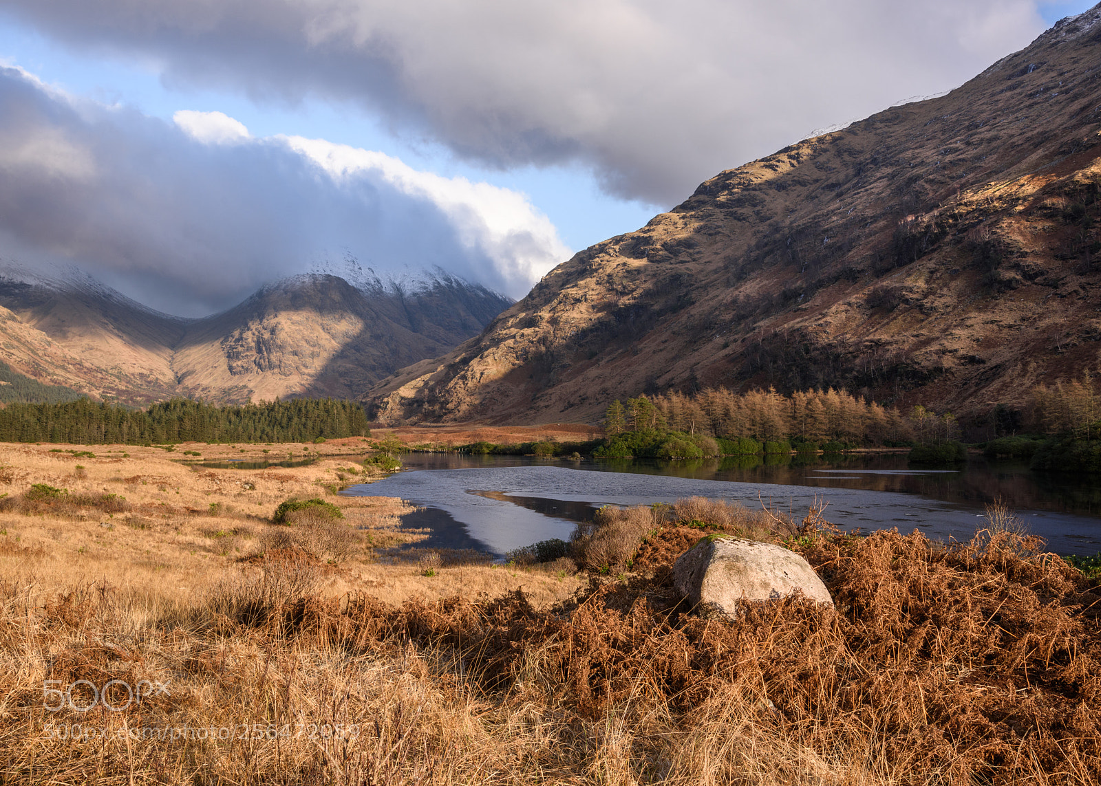 Nikon D810 sample photo. Lochan urr and stob photography