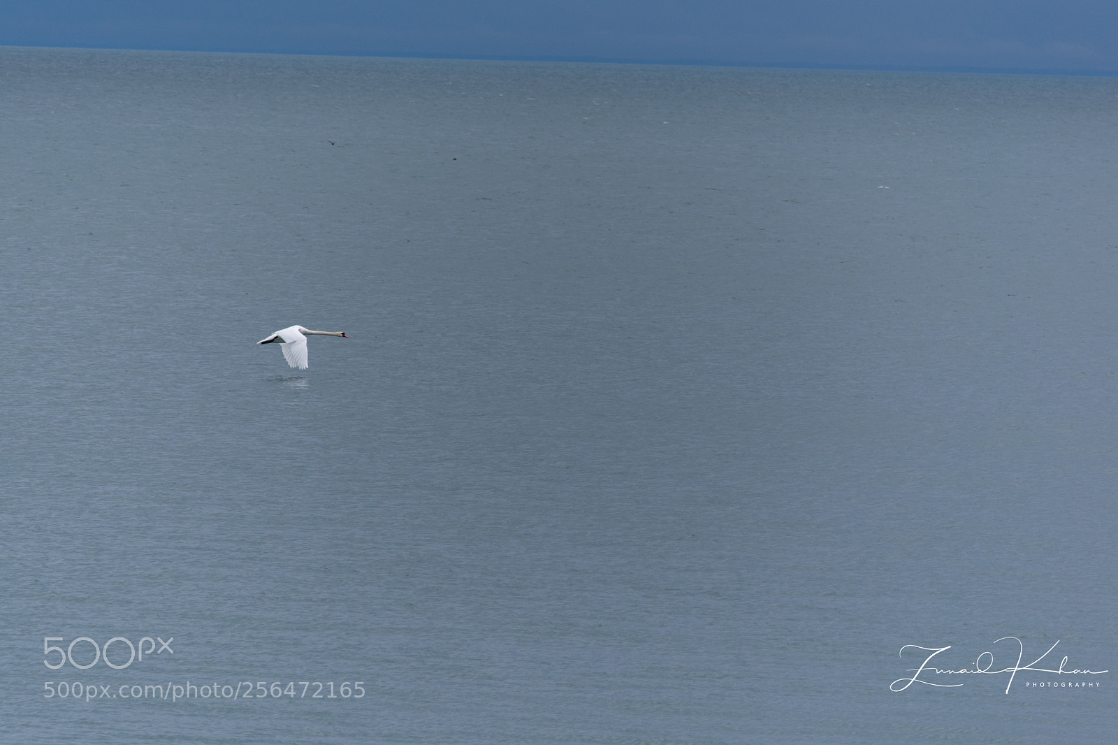 Nikon D3400 sample photo. Solo flight photography