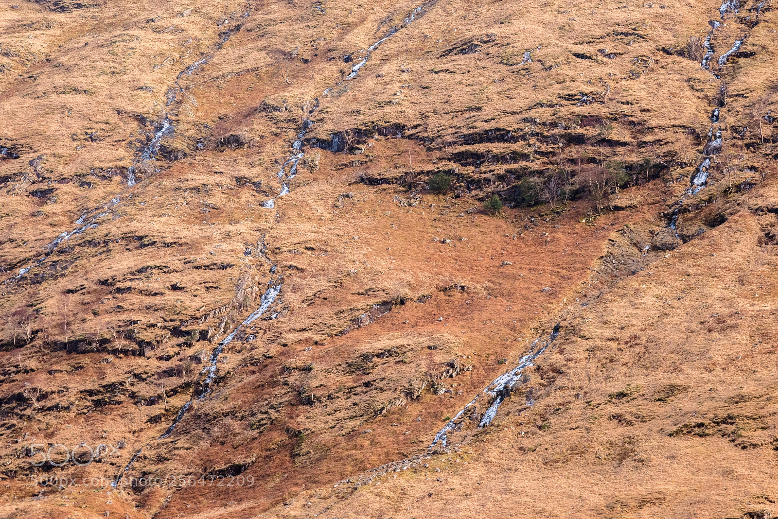 Nikon D810 sample photo. Glen etive slopes photography
