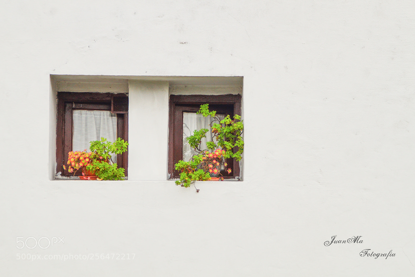Sony SLT-A58 sample photo. Las ventanas: photography