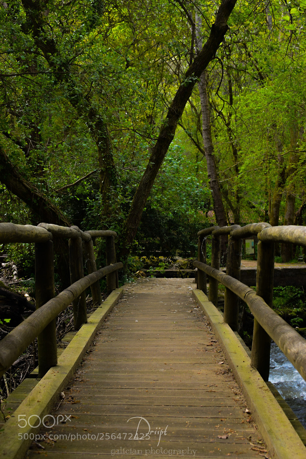 Nikon D3300 sample photo. Verdes photography