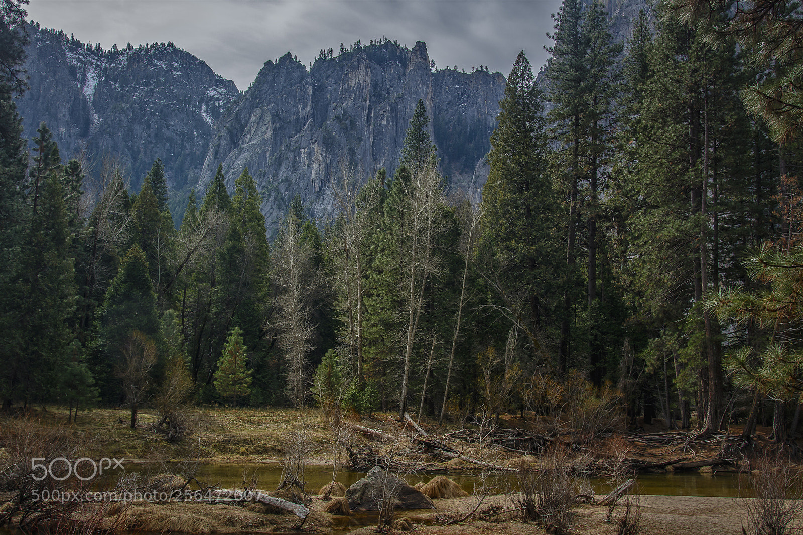 Nikon D7100 sample photo. Yosemite valley photography