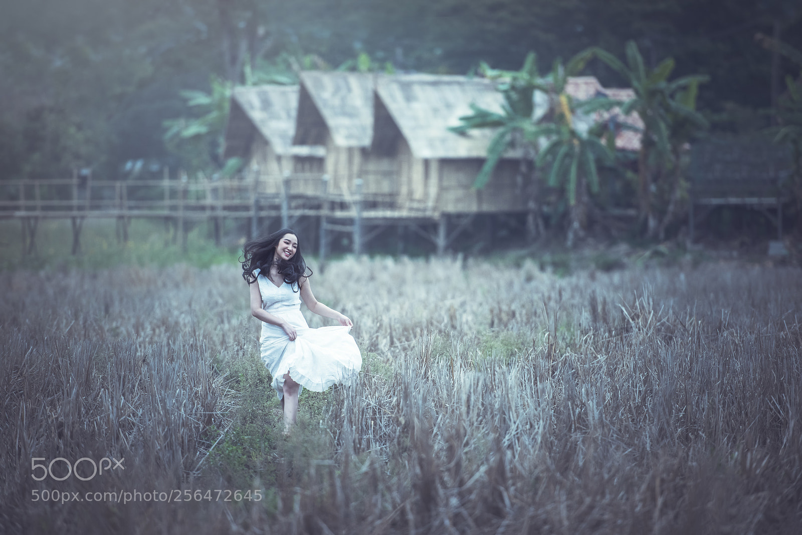 Nikon D810 sample photo. Relaxing photography