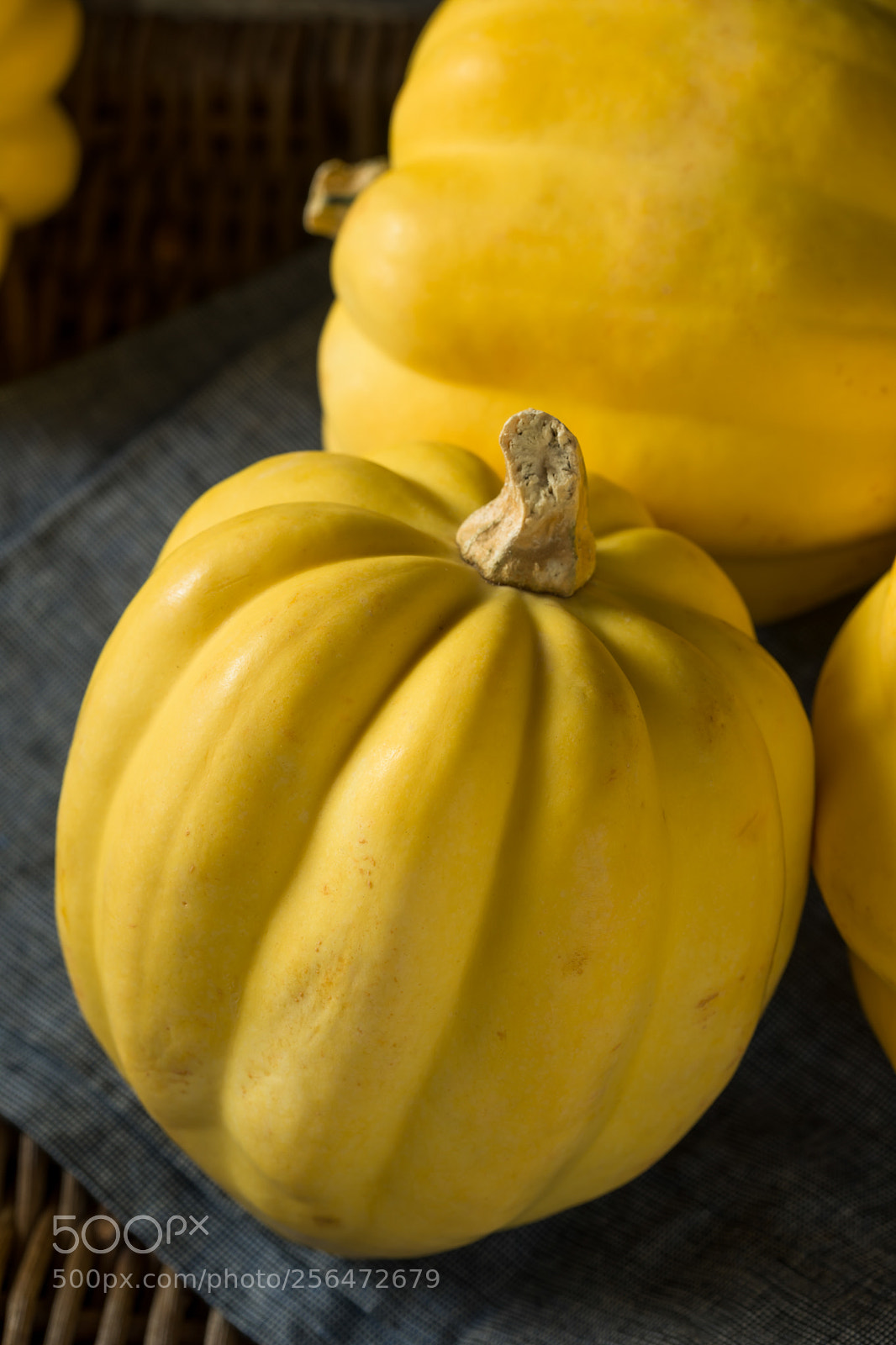 Canon EOS 5D Mark IV sample photo. Raw organic white yellow photography