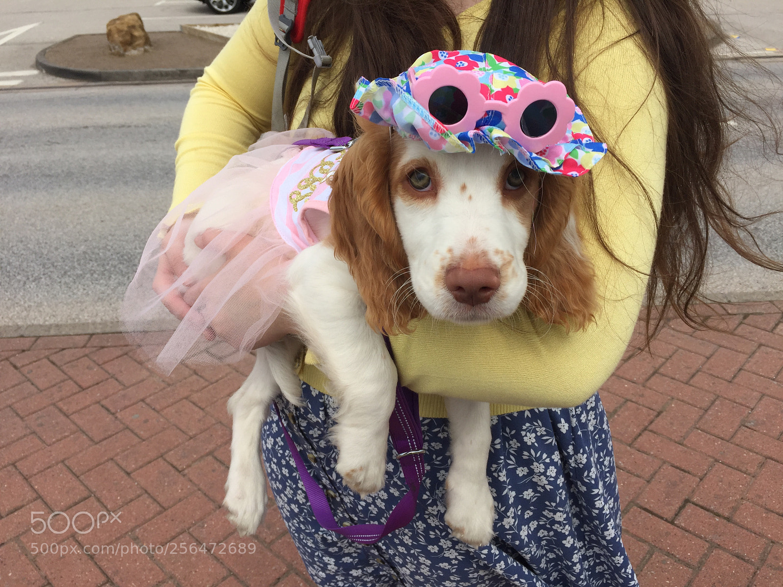 Apple iPhone 6 sample photo. Bug in a dress photography