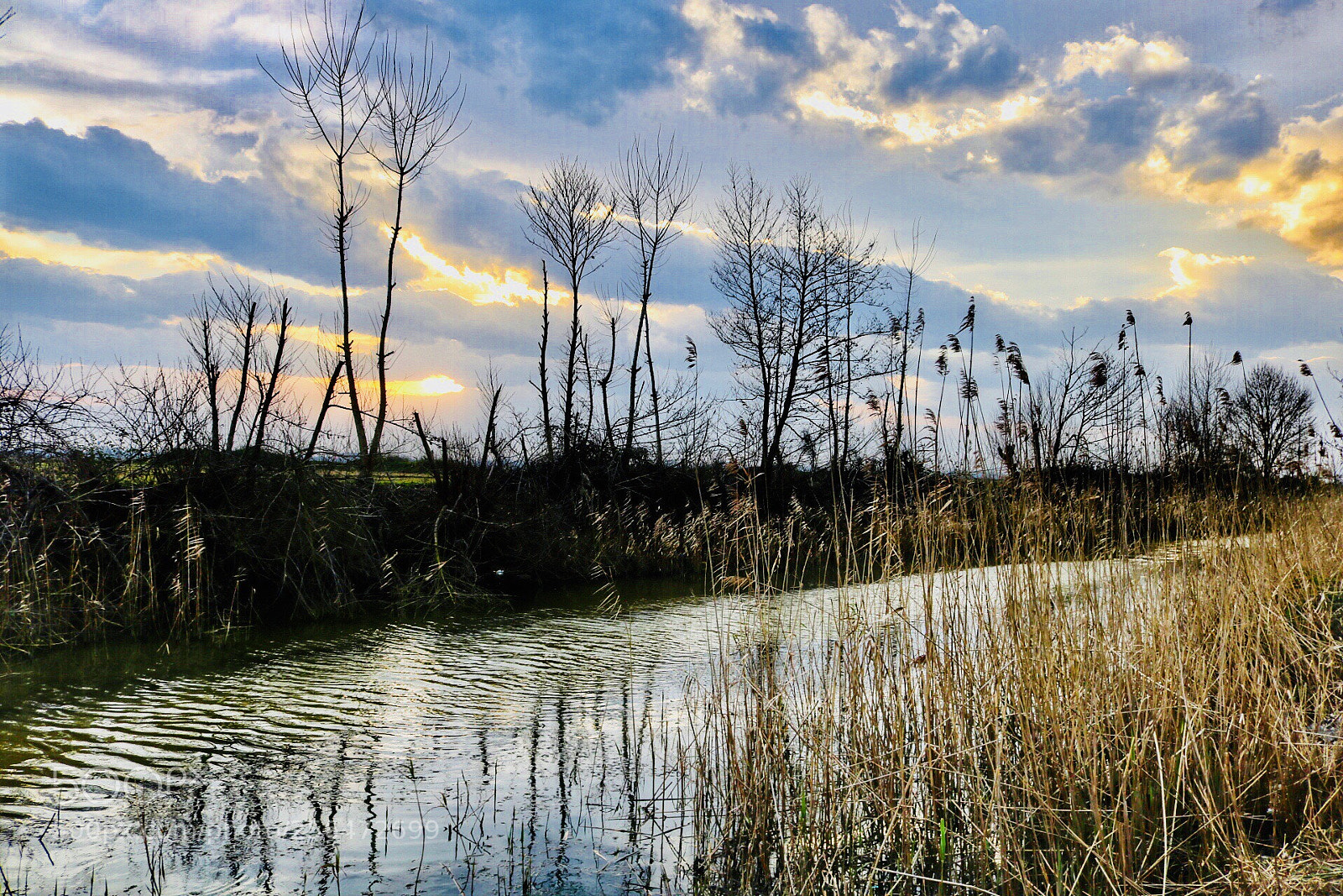 Canon EOS 750D (EOS Rebel T6i / EOS Kiss X8i) sample photo. River view photography