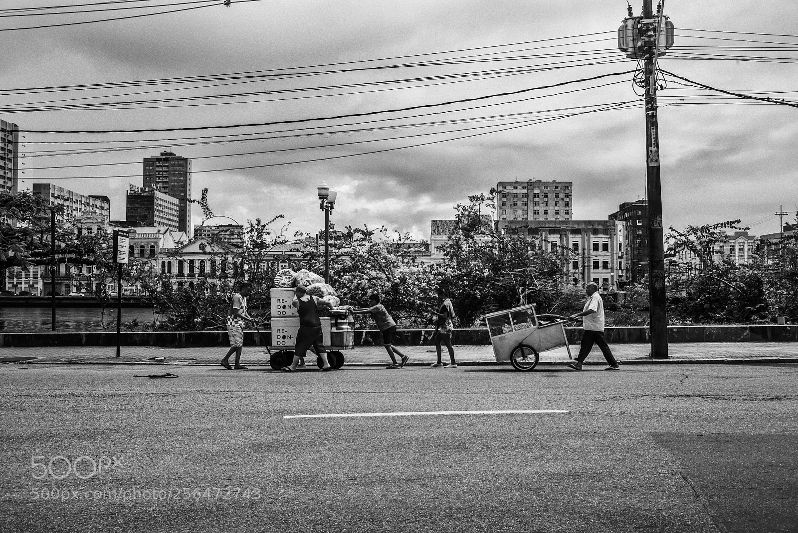 Leica M (Typ 240) sample photo. Hawker parade photography