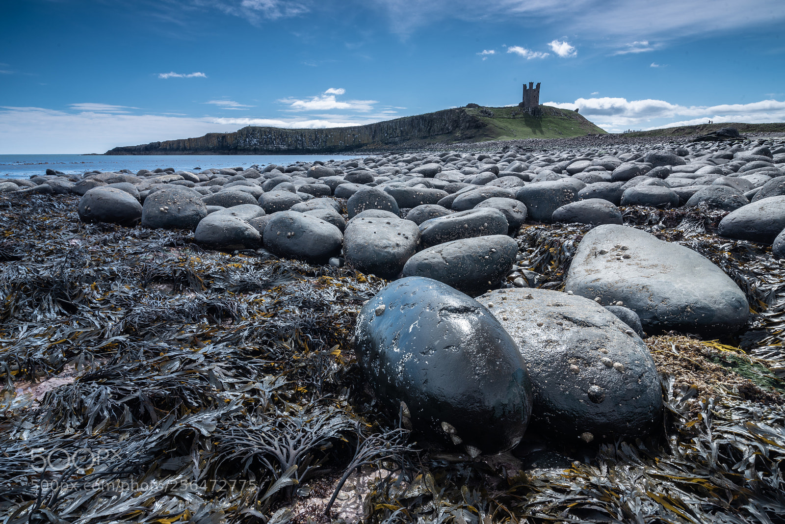 Nikon D750 sample photo. Embleton rocks photography