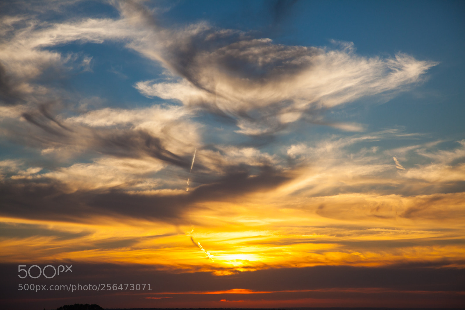 Canon EOS 5D Mark II sample photo. Untitled photography