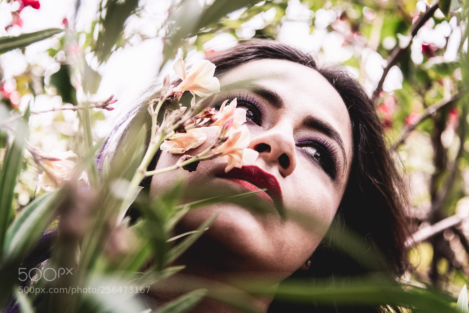 Nikon D810 sample photo. Gaze photography