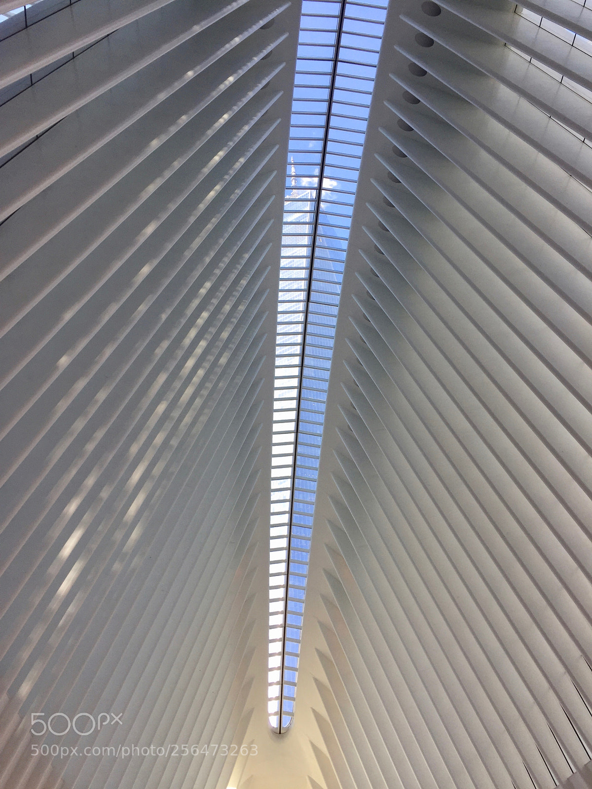 Apple iPhone 6 sample photo. Look through the window photography