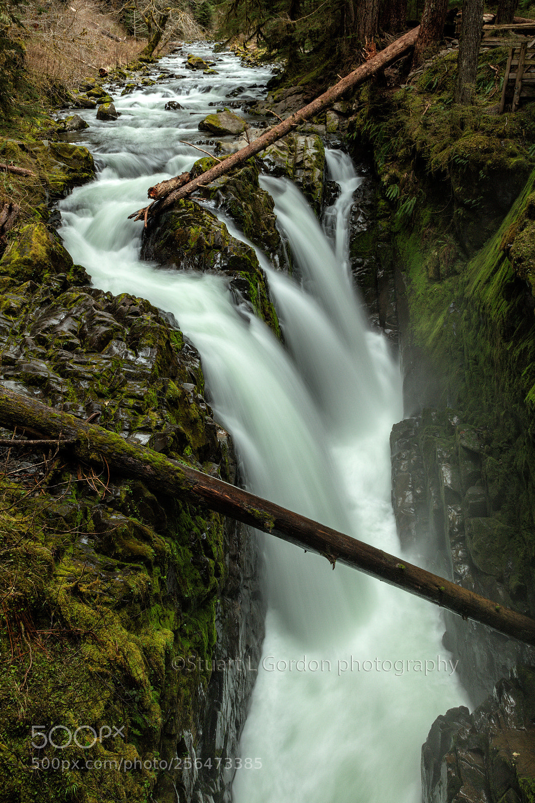 Canon EOS 5DS R sample photo. Sol duc falls photography