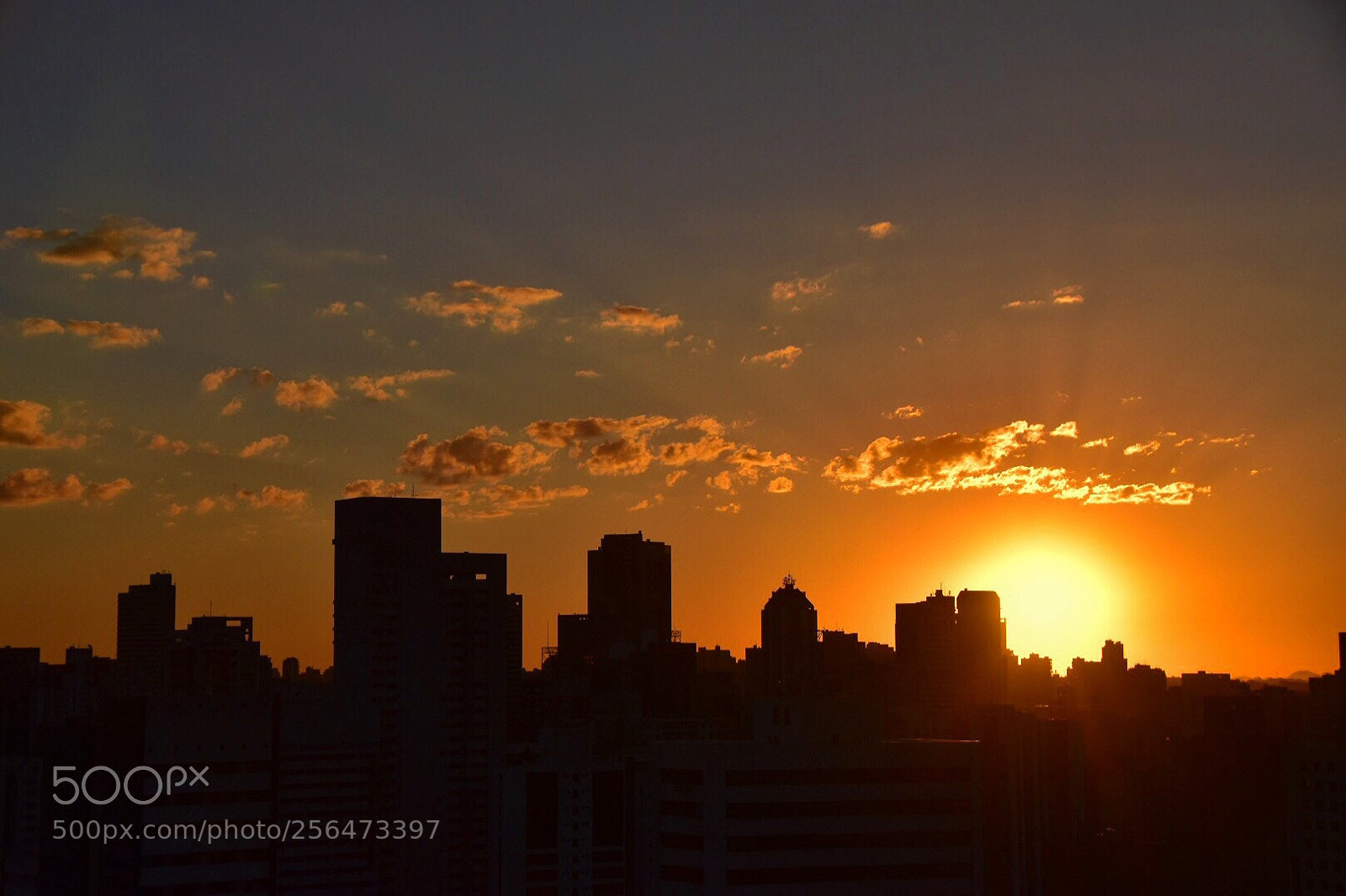 Nikon D5500 sample photo. Sunset photography