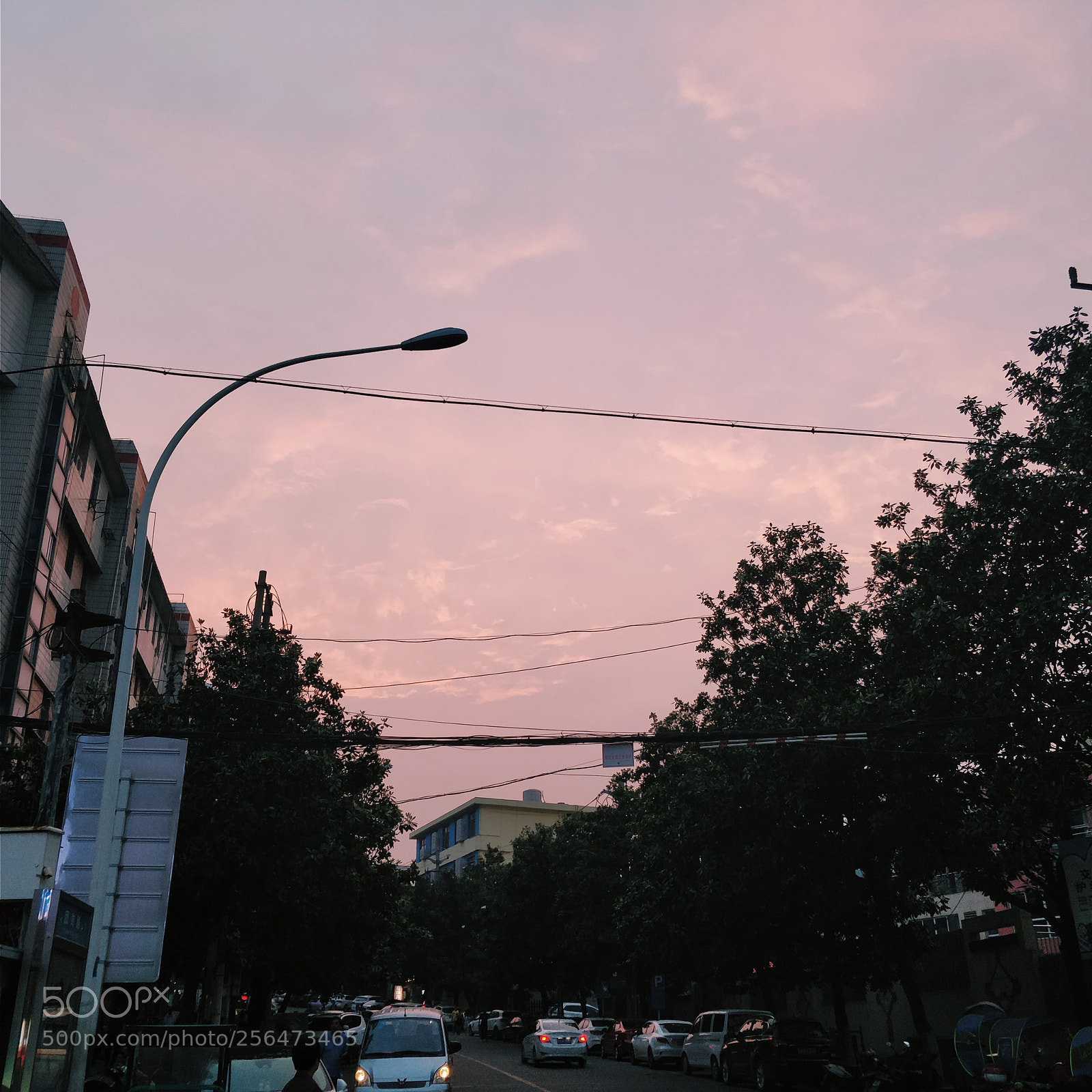 OnePlus 5 sample photo. Untitled photography