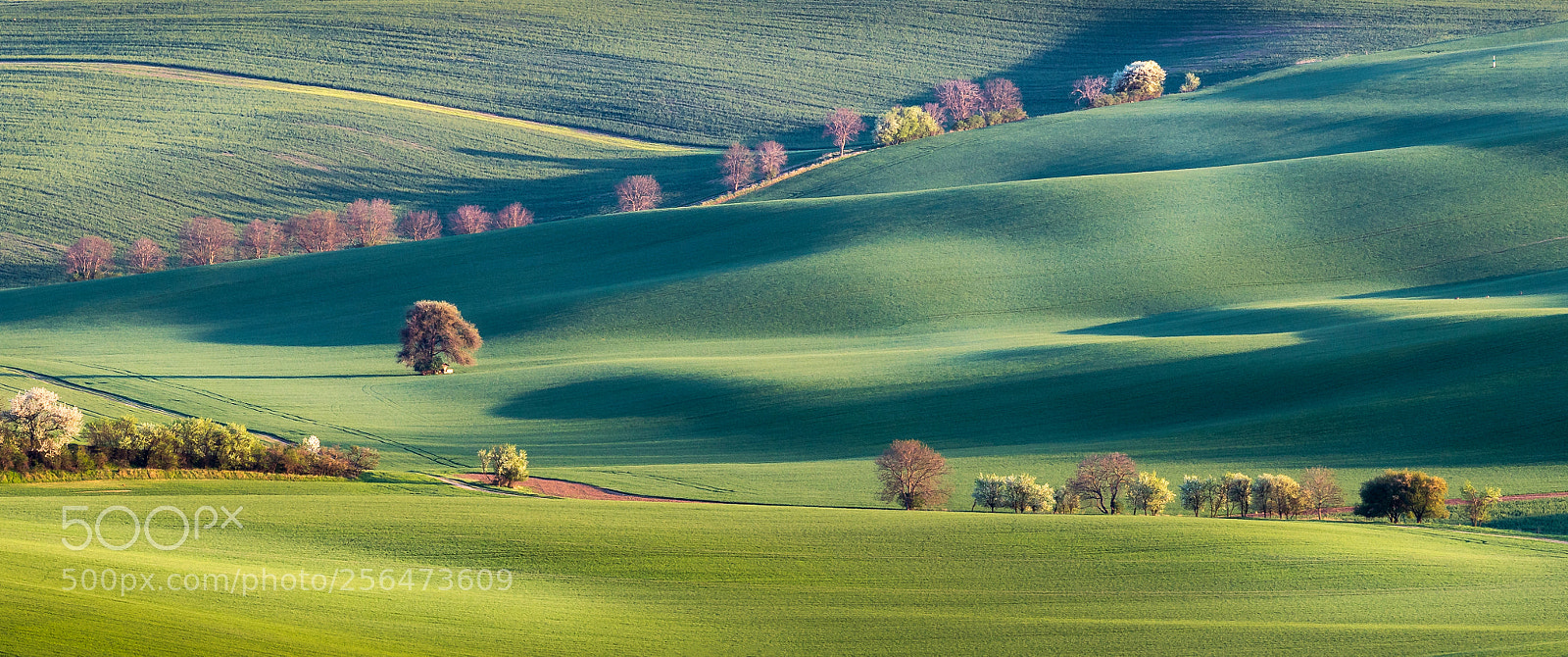 Canon EOS 6D Mark II sample photo. Evening light photography