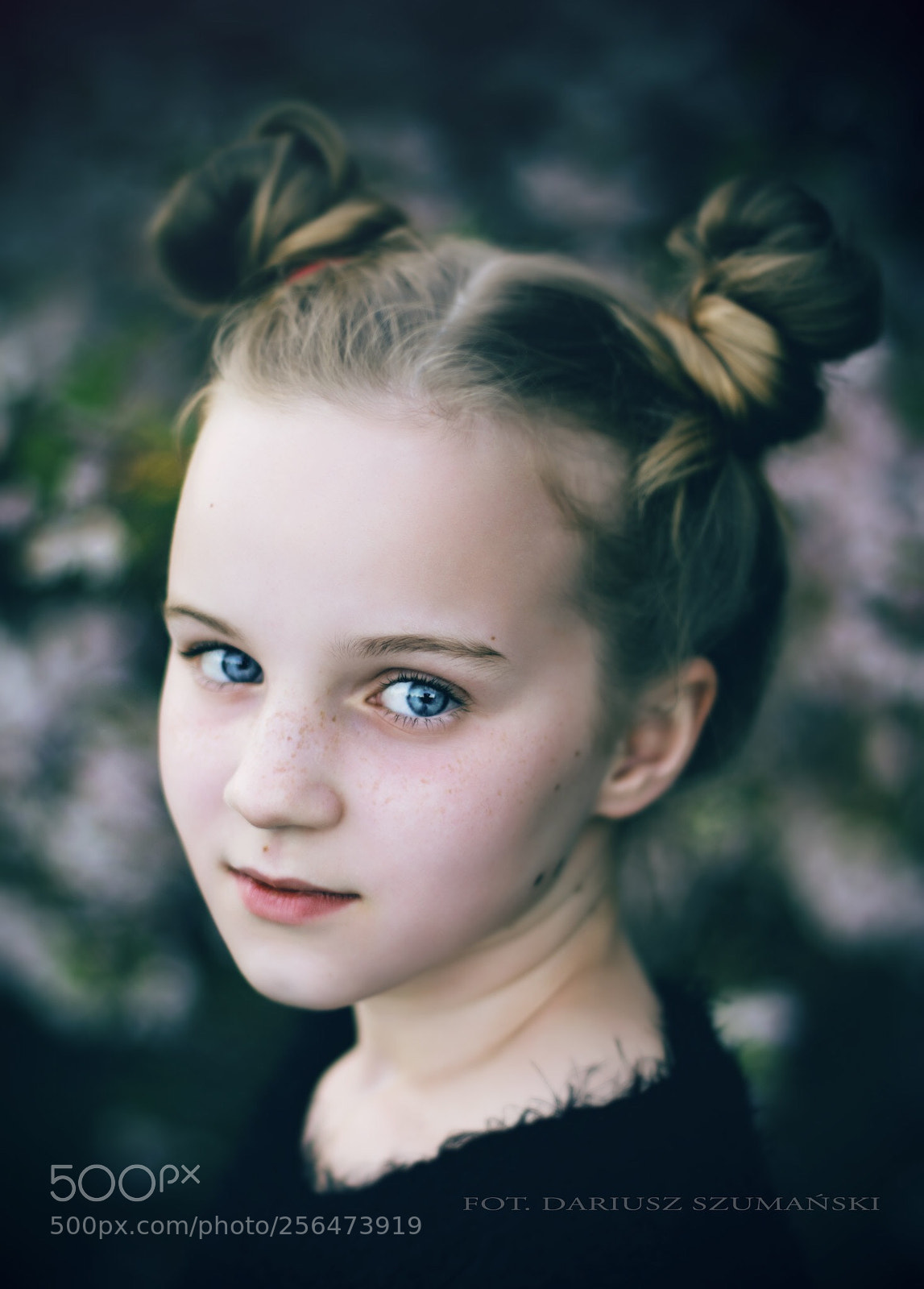 Pentax K-3 sample photo. Untitled photography