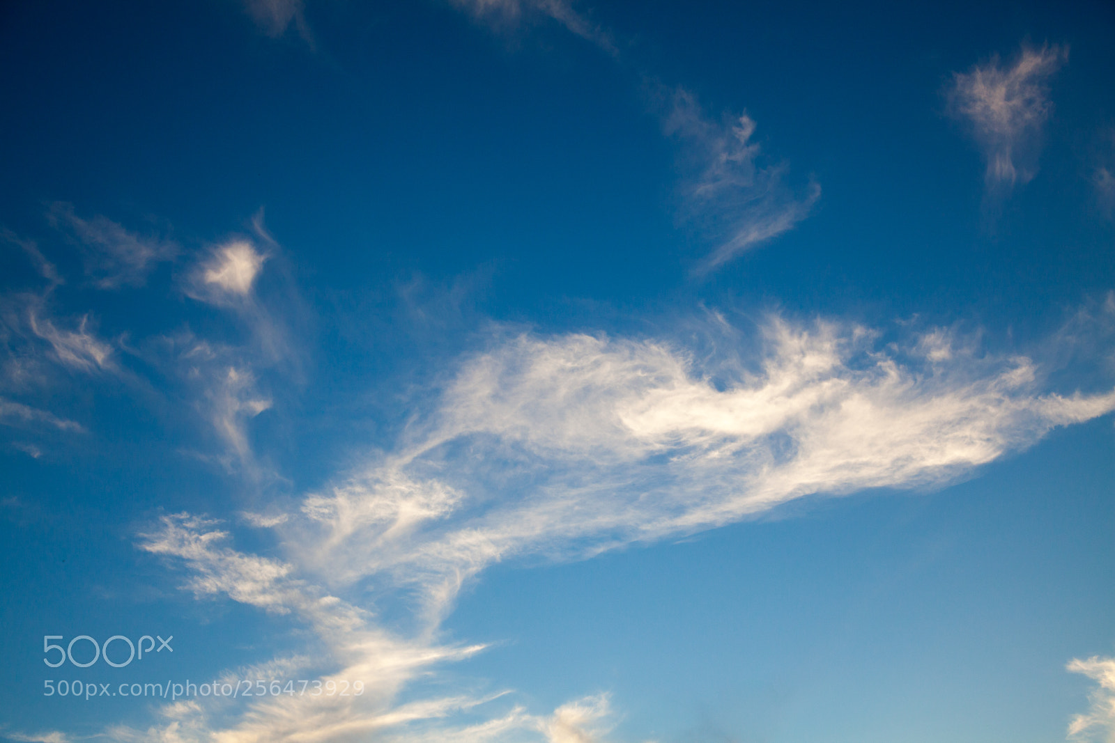 Canon EOS 5D Mark II sample photo. Untitled photography