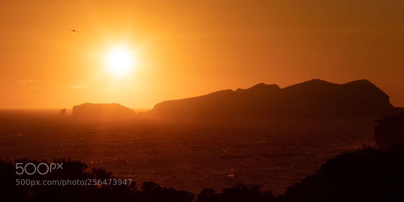 Canon EOS 200D (EOS Rebel SL2 / EOS Kiss X9) sample photo. Ibiza sunset photography