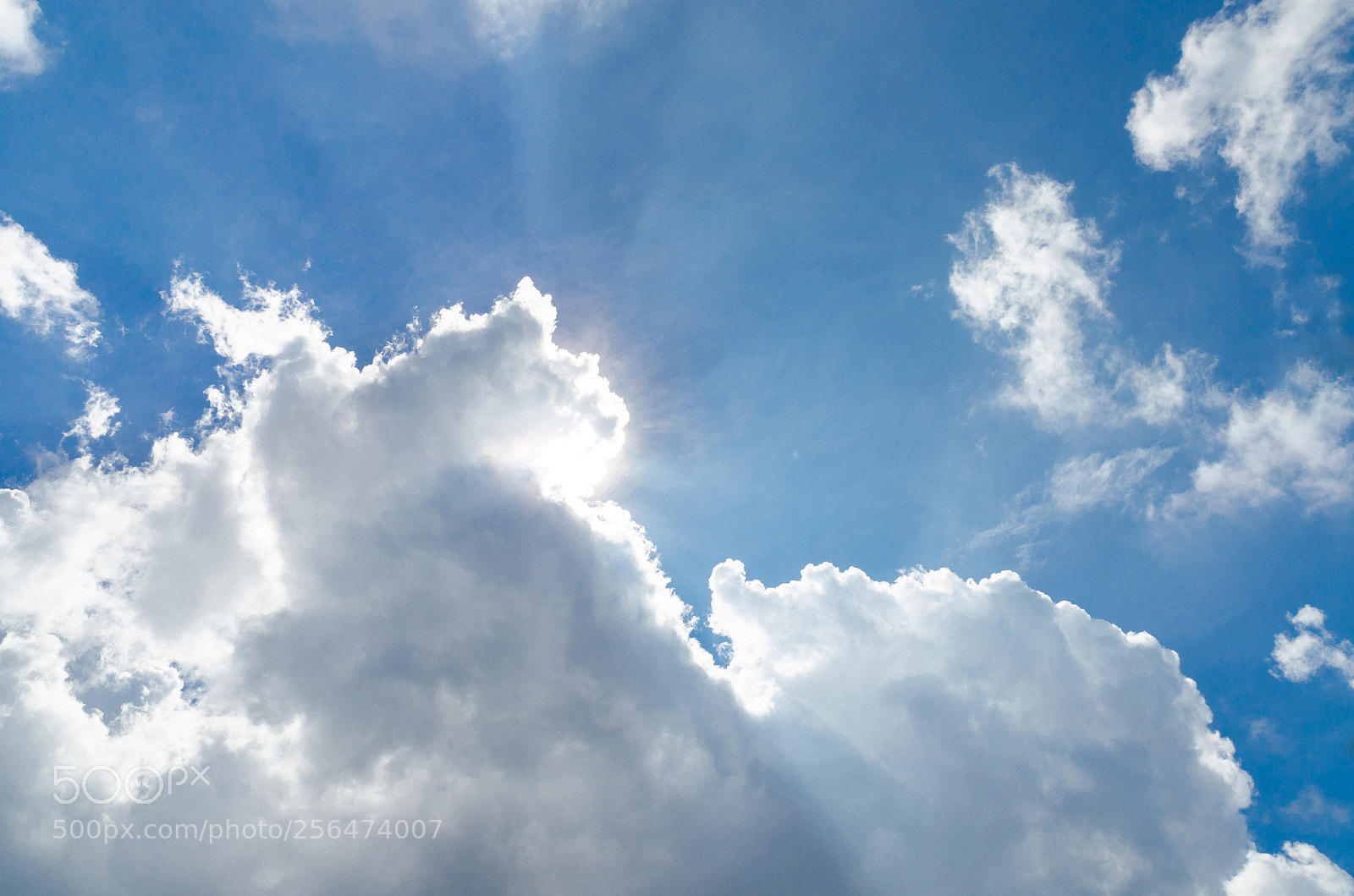 Nikon D5100 sample photo. Sunshine and bluesky photography