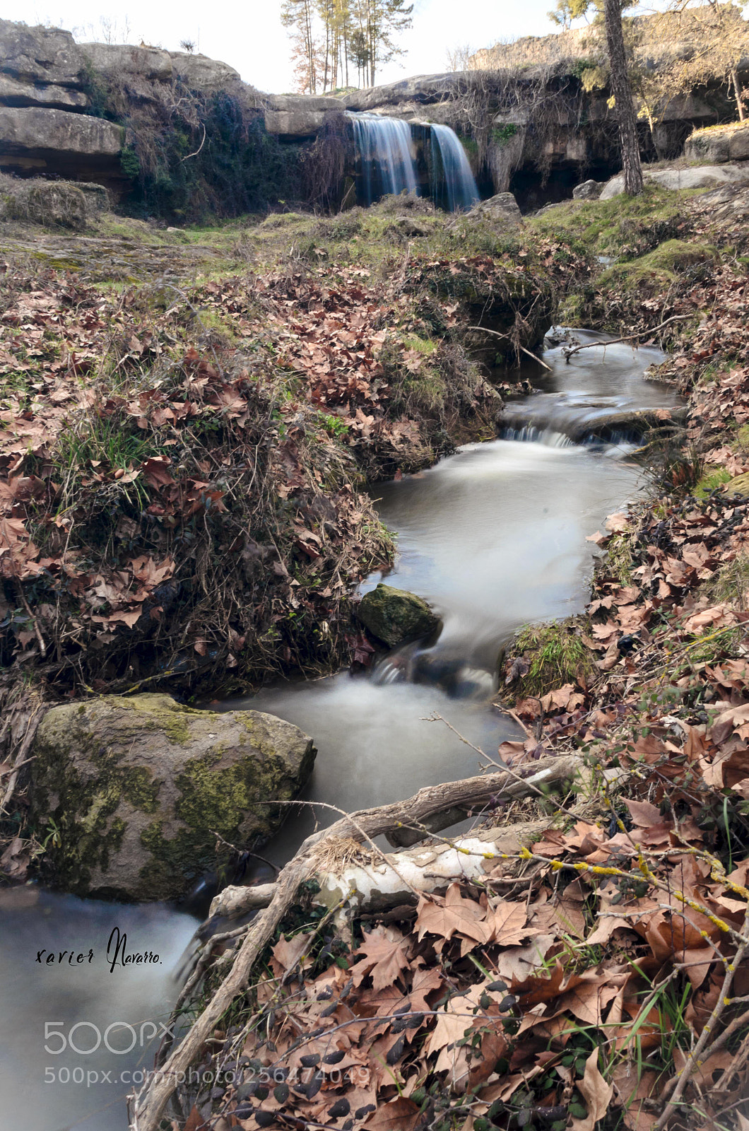 Nikon D5100 sample photo. River life photography