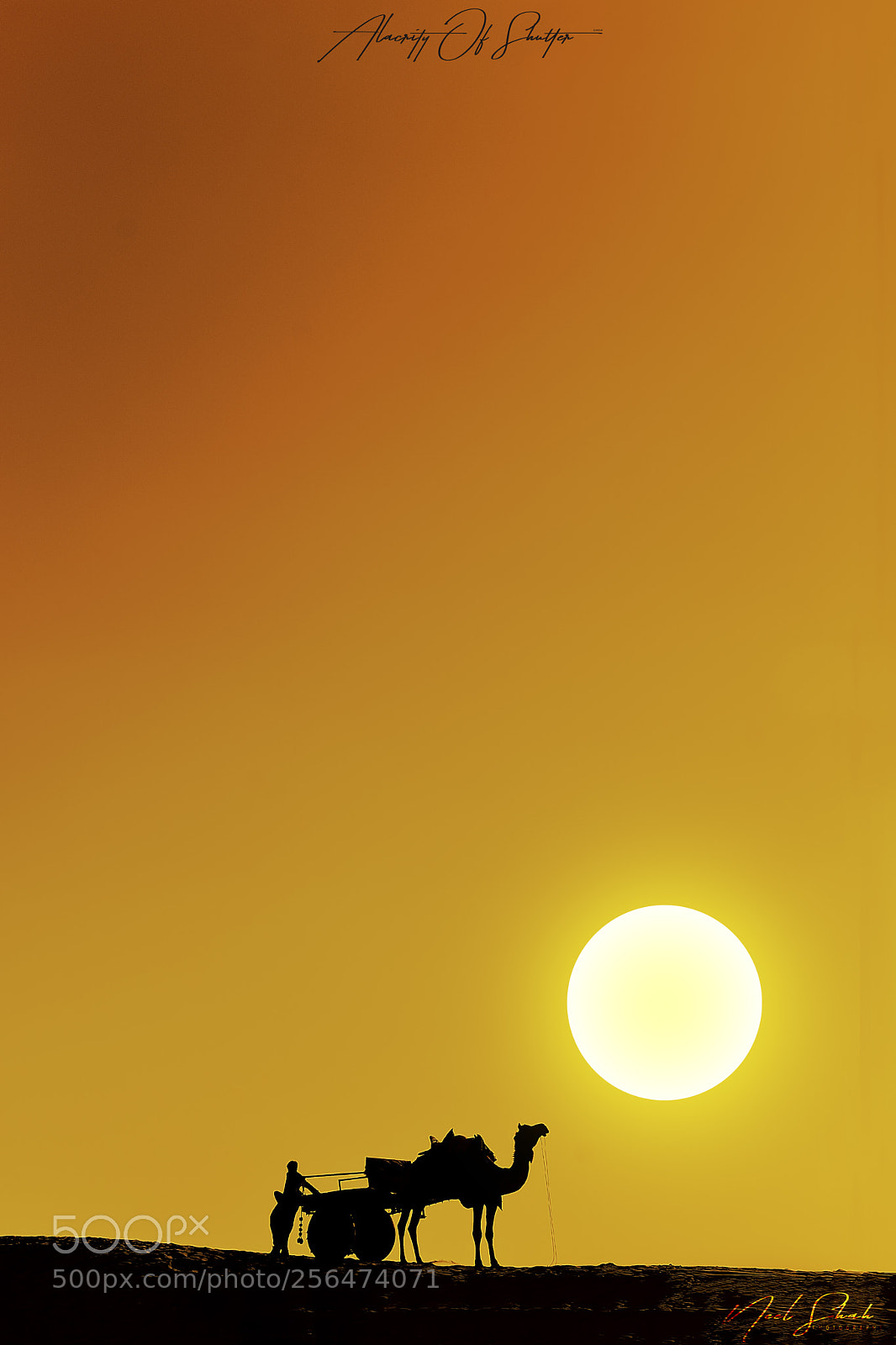 Nikon D3200 sample photo. Golden sunset photography