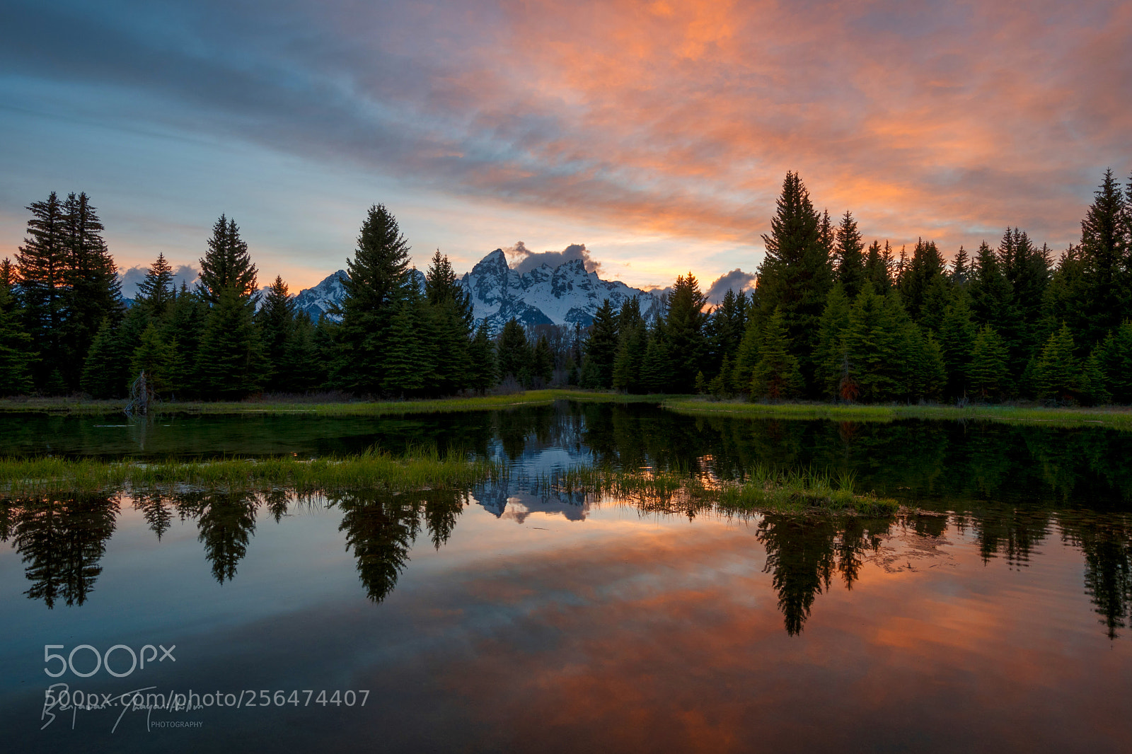 Nikon D500 sample photo. Schwabacher landing grand teton photography