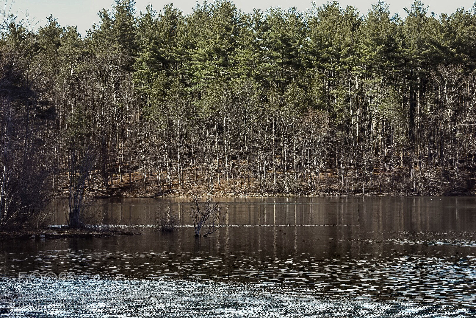 Nikon D7200 sample photo. Untitled photography
