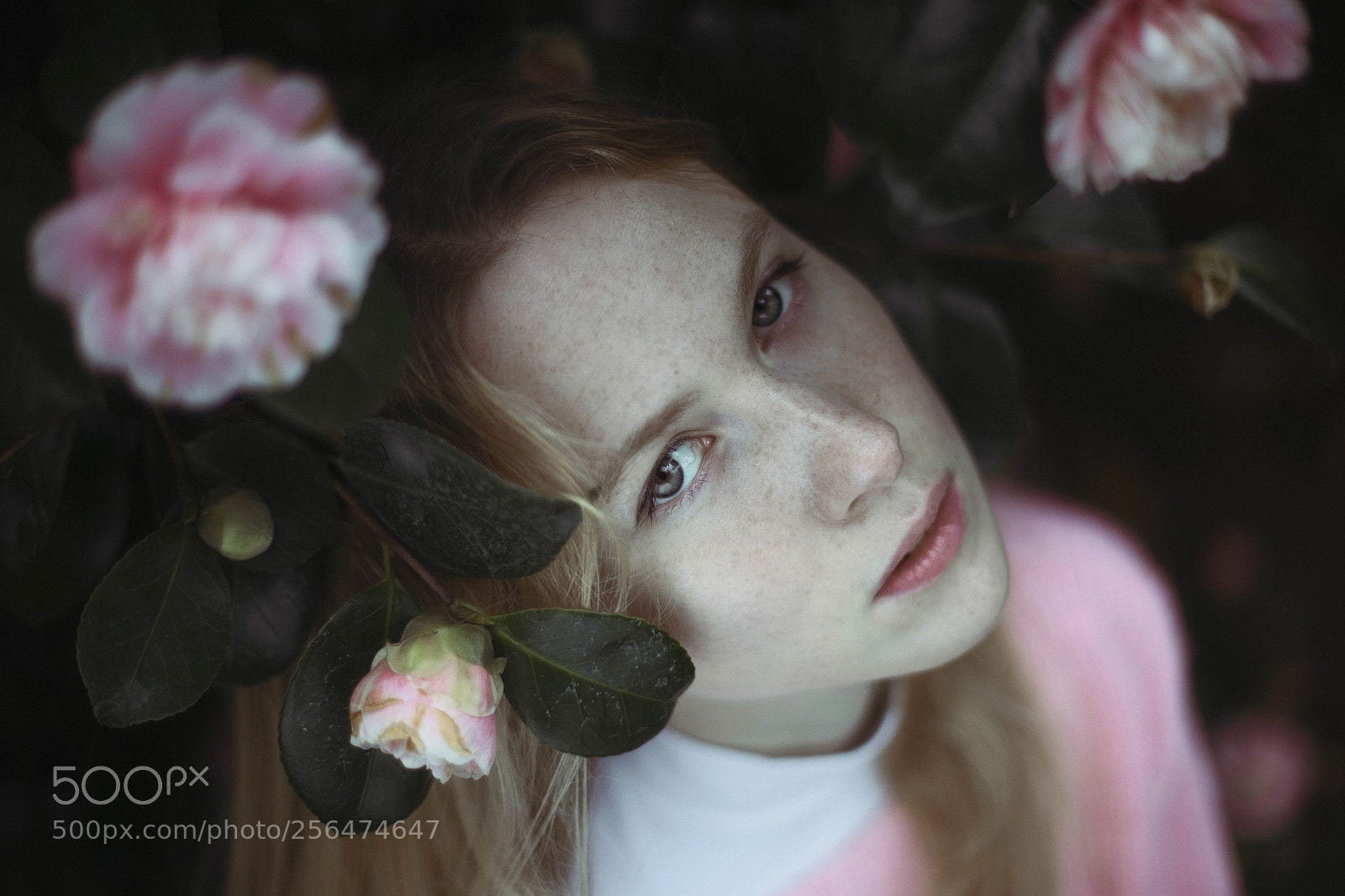 Canon EOS 6D sample photo. Someone told me i'm photography