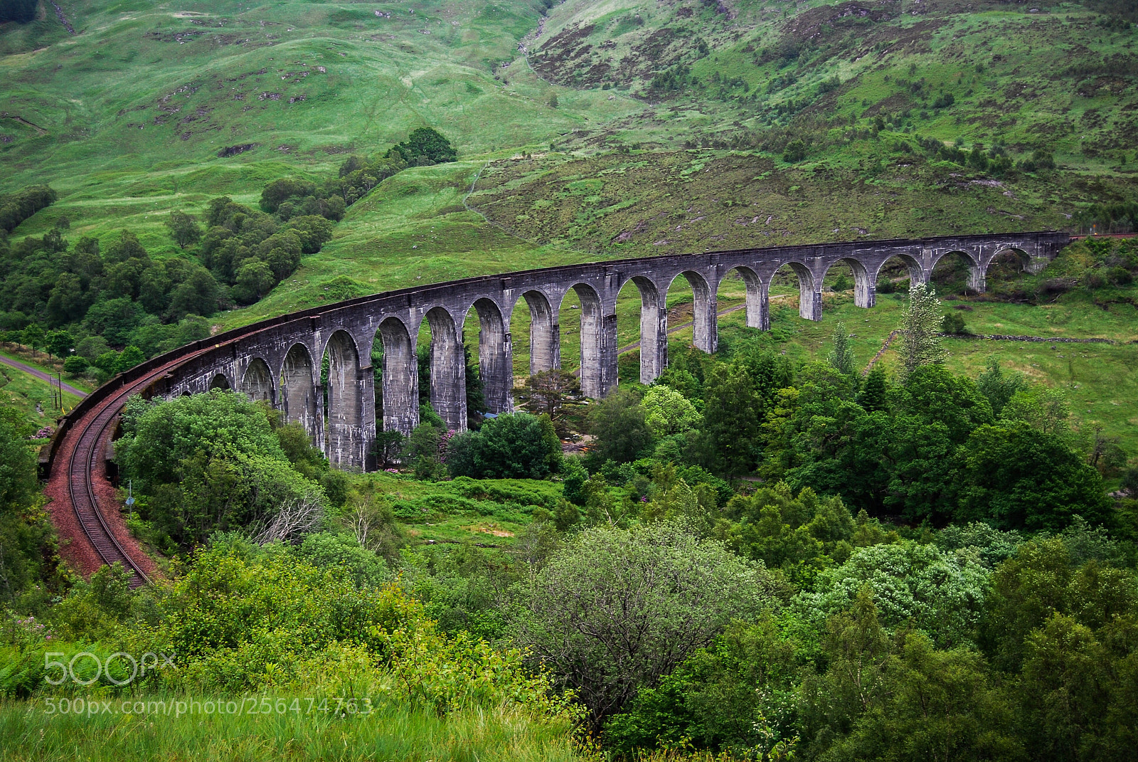 Nikon D40X sample photo. Glenfinnan viaduct - Écosse photography