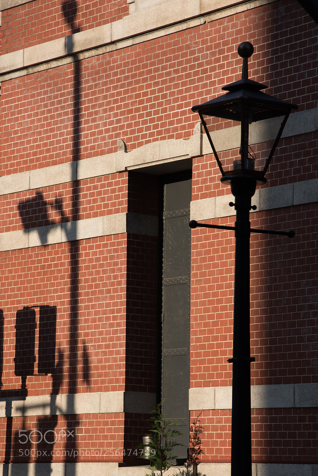 Nikon D810 sample photo. Daydream 3 photography
