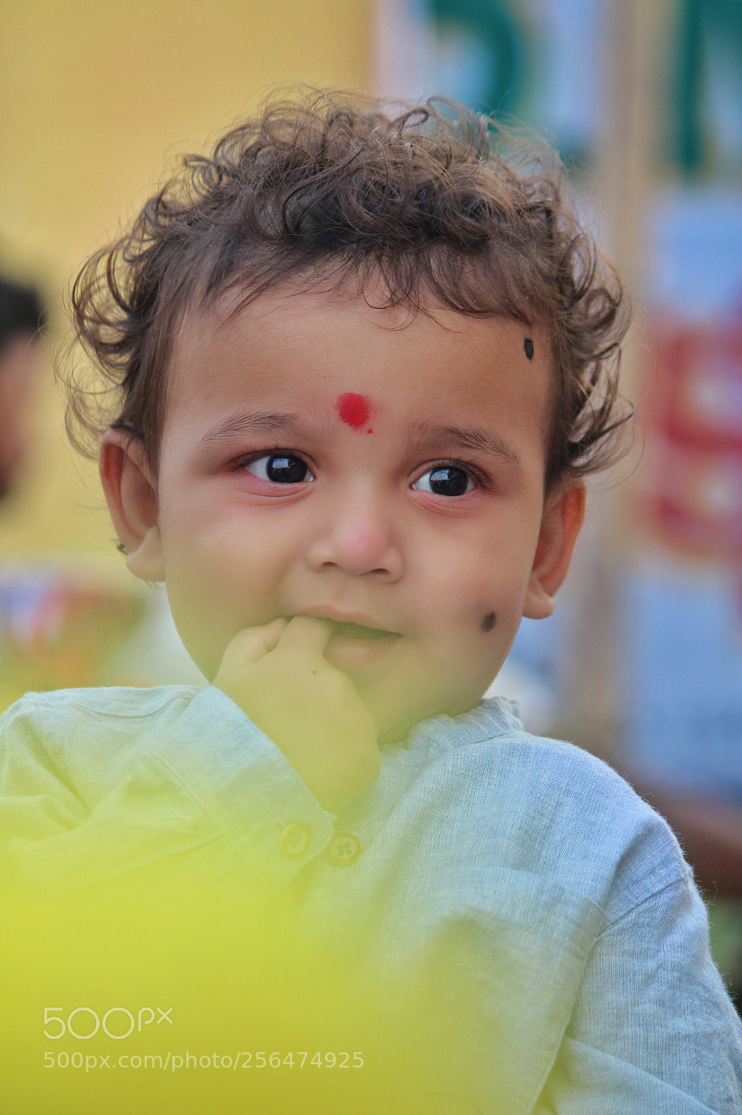 Canon EOS 1200D (EOS Rebel T5 / EOS Kiss X70 / EOS Hi) sample photo. Definition for cuteness! photography