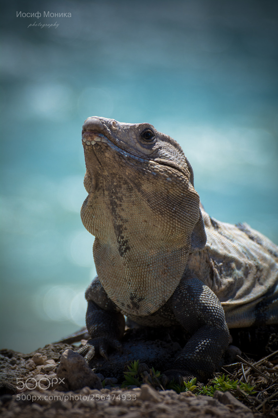 Nikon D5200 sample photo. Beach photography
