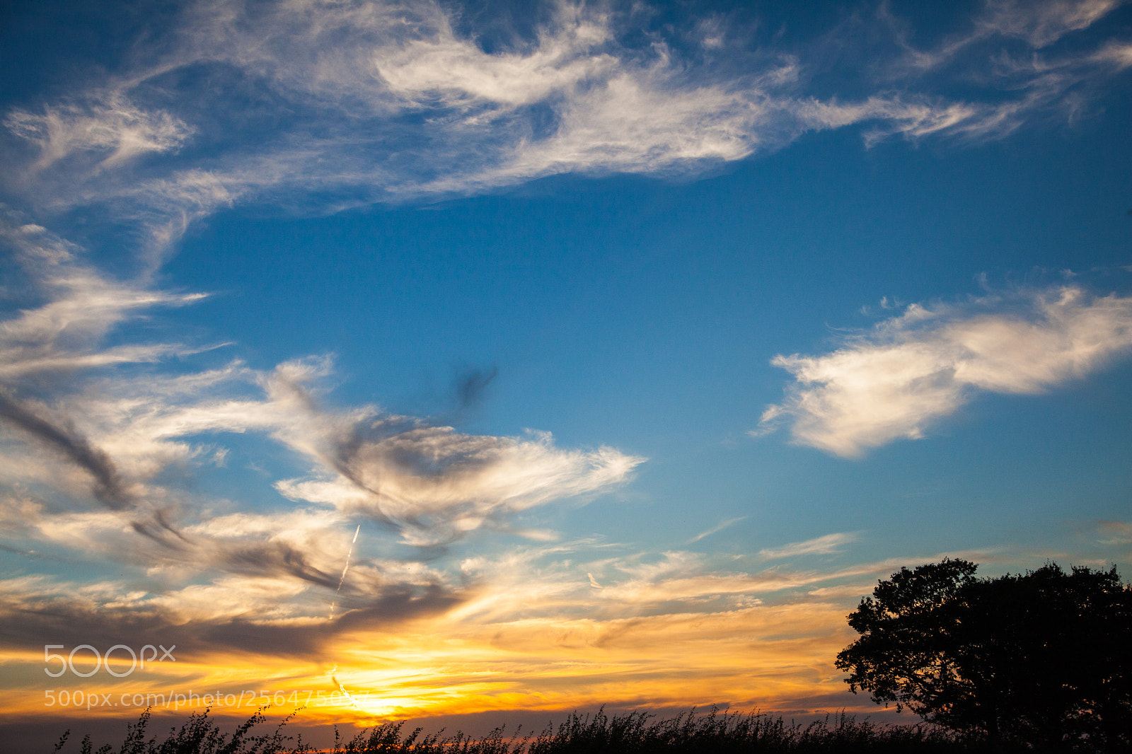 Canon EOS 5D Mark II sample photo. Untitled photography