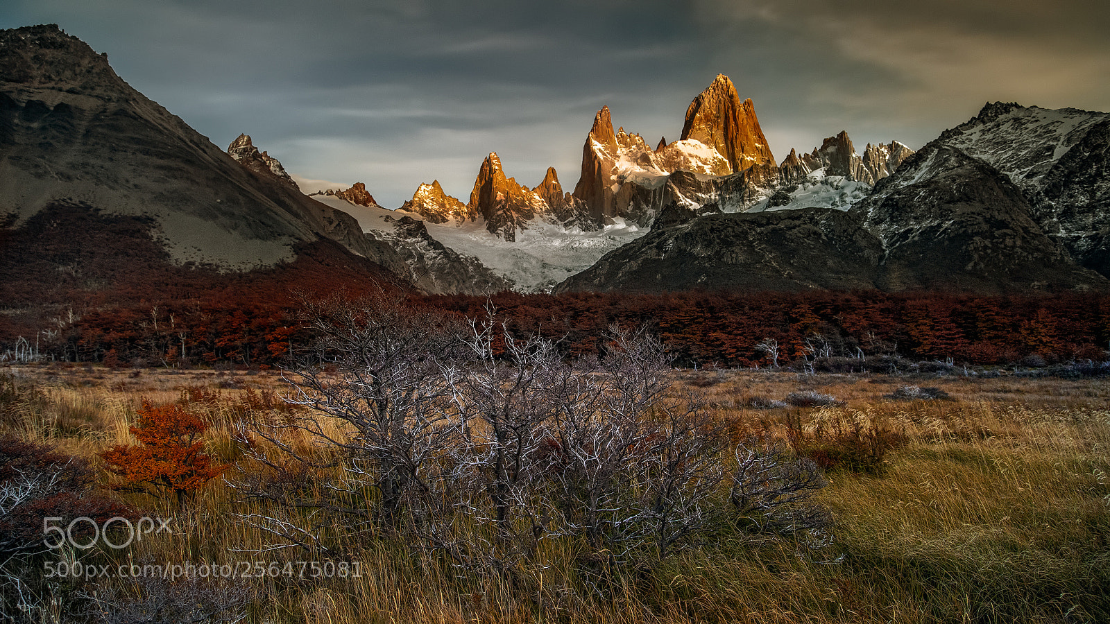 Canon EOS 5D Mark IV sample photo. Wild patagonia photography