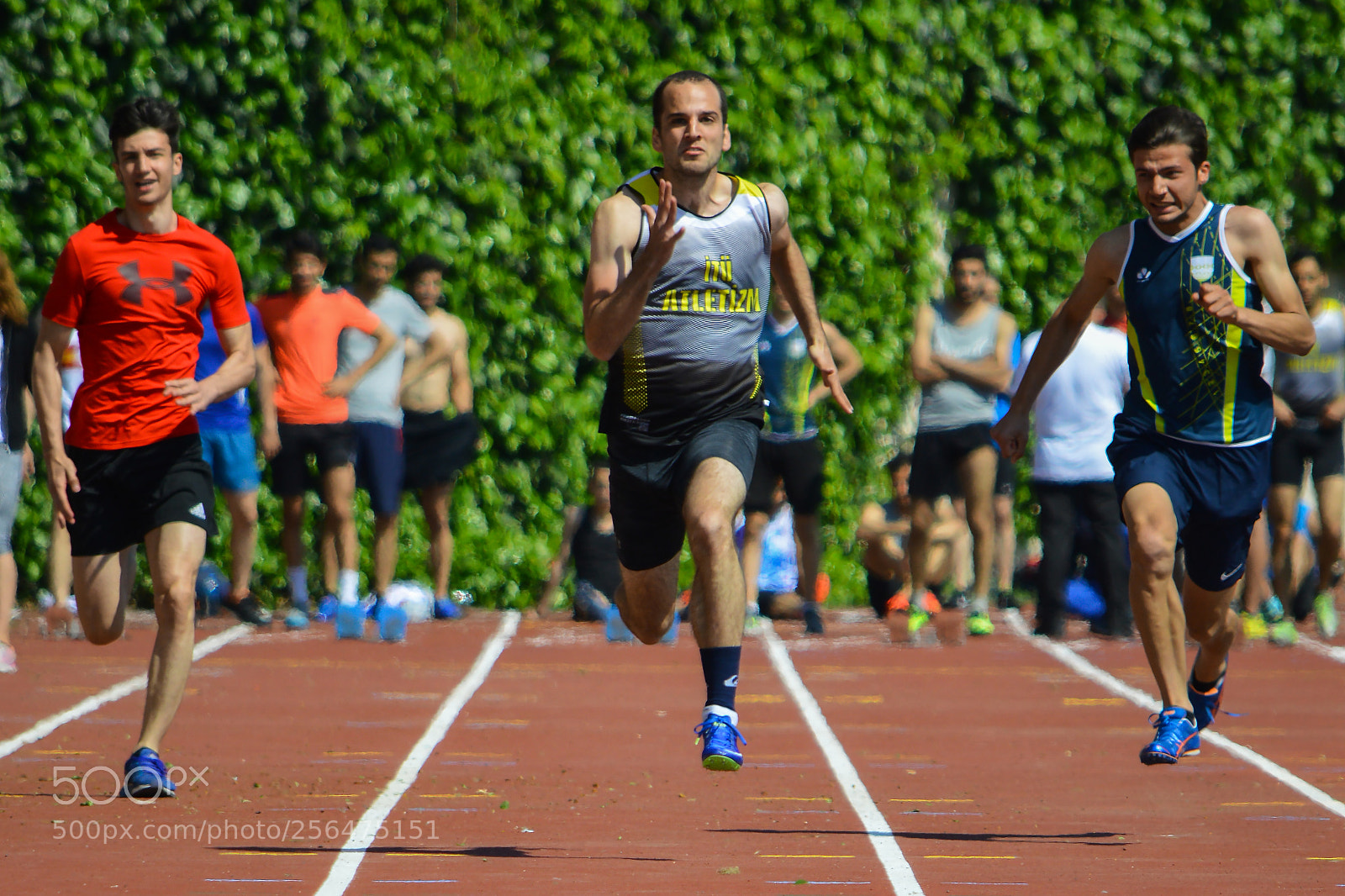 Nikon D3200 sample photo. Field day 2018 photography
