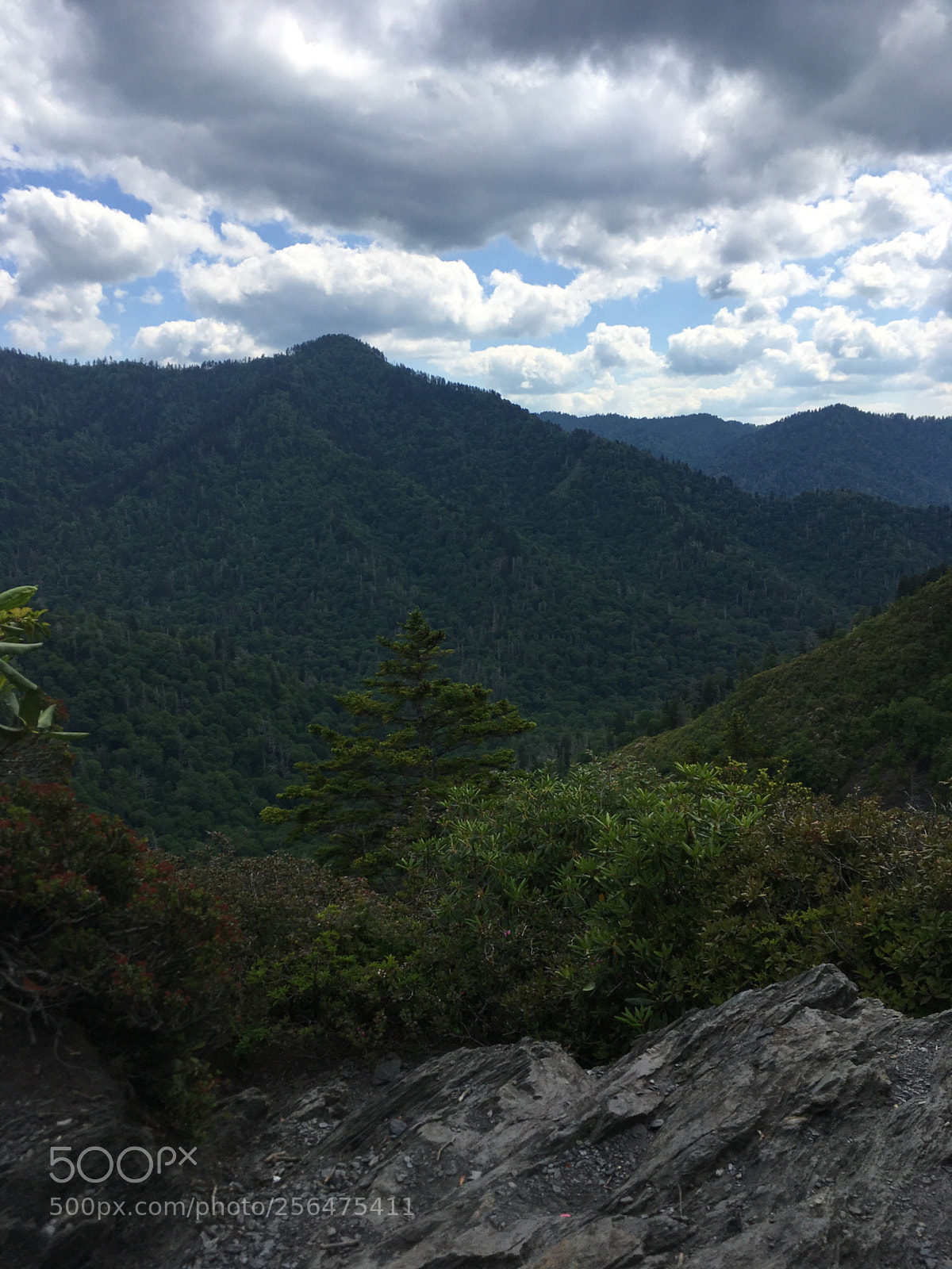 Apple iPhone SE sample photo. Smoky mountains  photography
