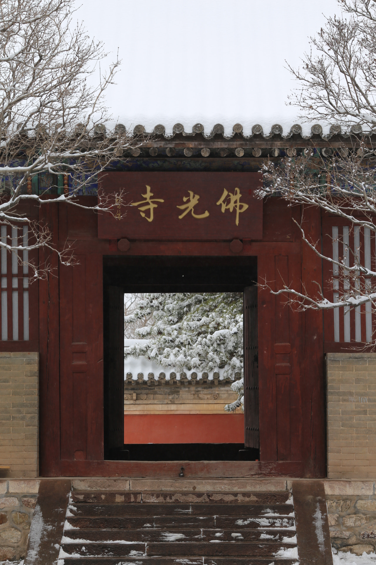 Canon EF 135mm F2L USM sample photo