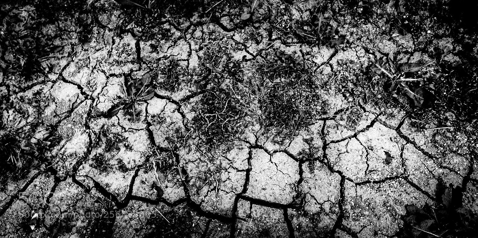 Nikon D700 sample photo. Cracks photography