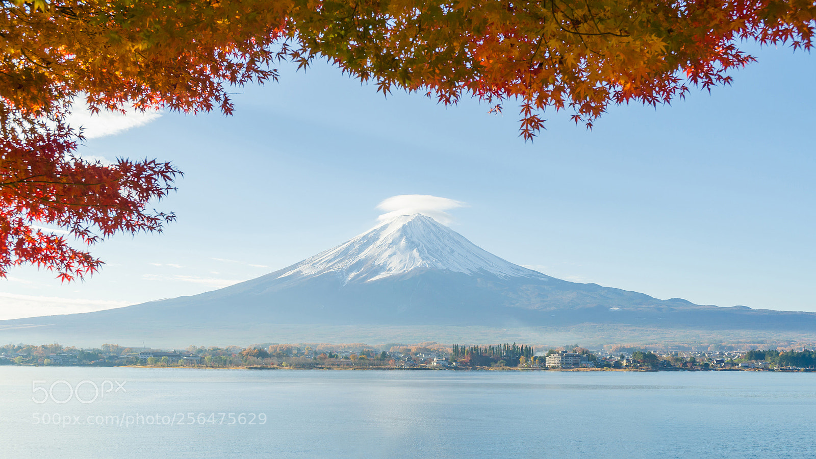 Nikon D5100 sample photo. Mount fuji in autumn photography