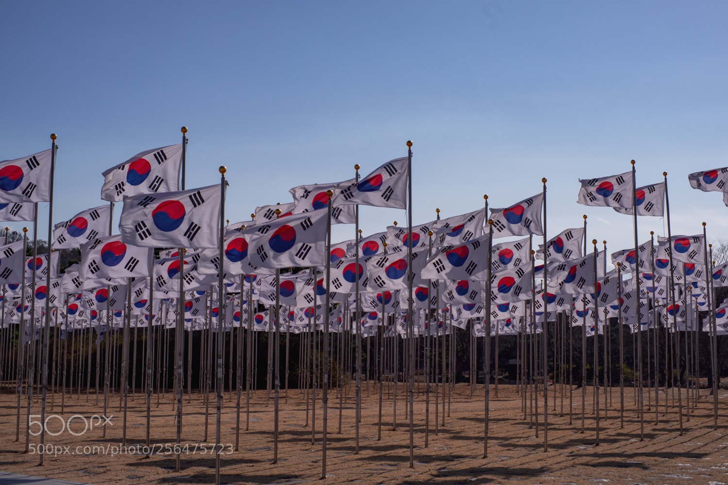 Sony a7 II sample photo. Flags photography