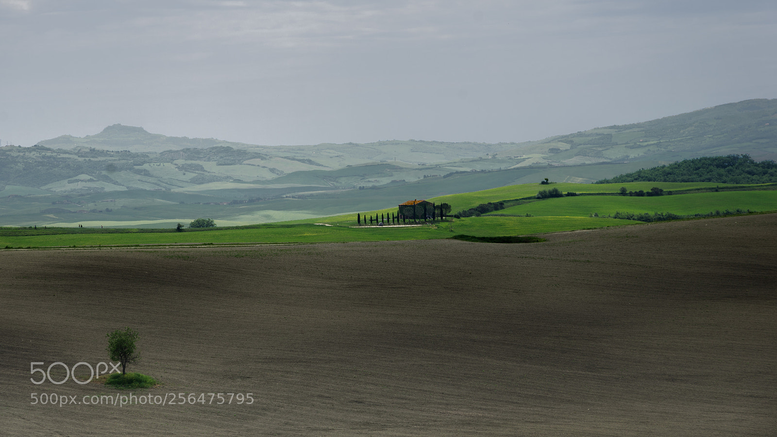 Pentax K-5 sample photo. Val d'orcia - tuscany photography