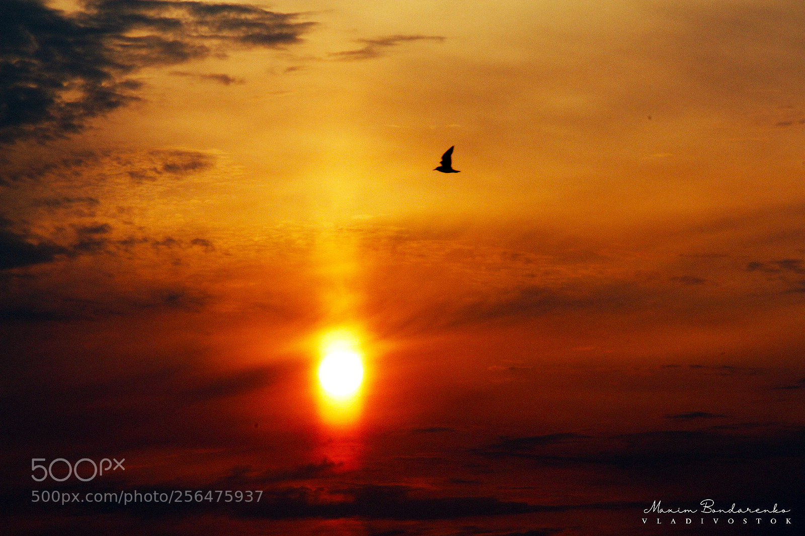 Canon EOS 7D sample photo. Sunset in vladivostok photography