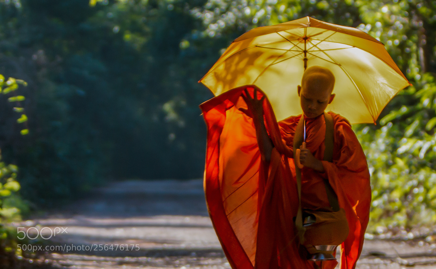 Canon EOS 70D sample photo. A little monk going photography