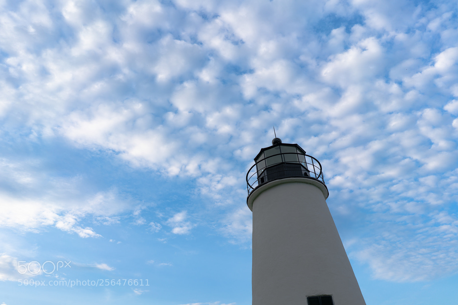 Sony a7R III sample photo. Untitled photography