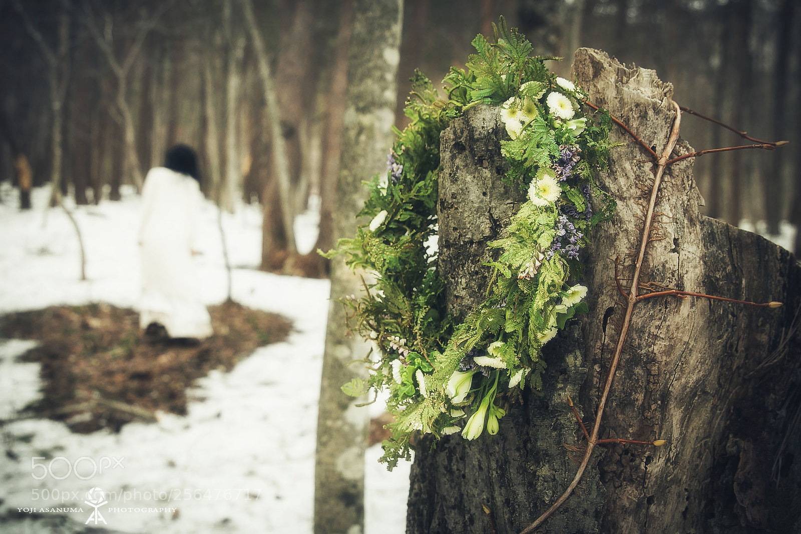 Canon EOS 6D sample photo. Make you bloom #fin. photography