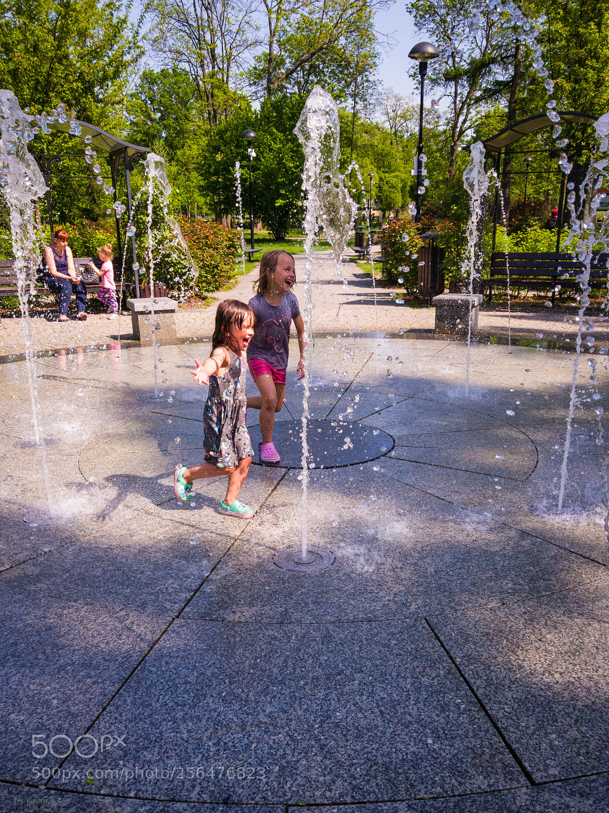 Samsung Galaxy S8+ sample photo. 74/365.jpg photography