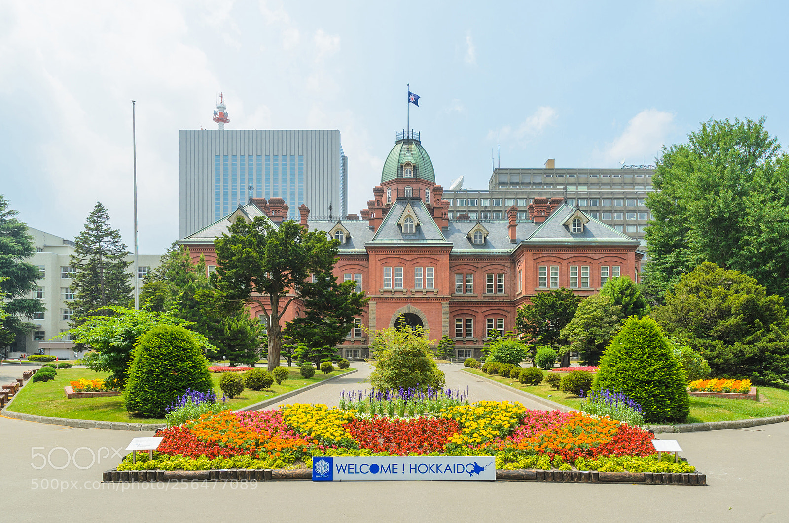 Nikon D5100 sample photo. Hokkaido summer photography