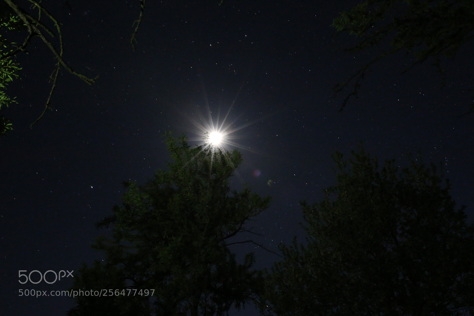 Canon EOS 6D sample photo. Midnight sky photography