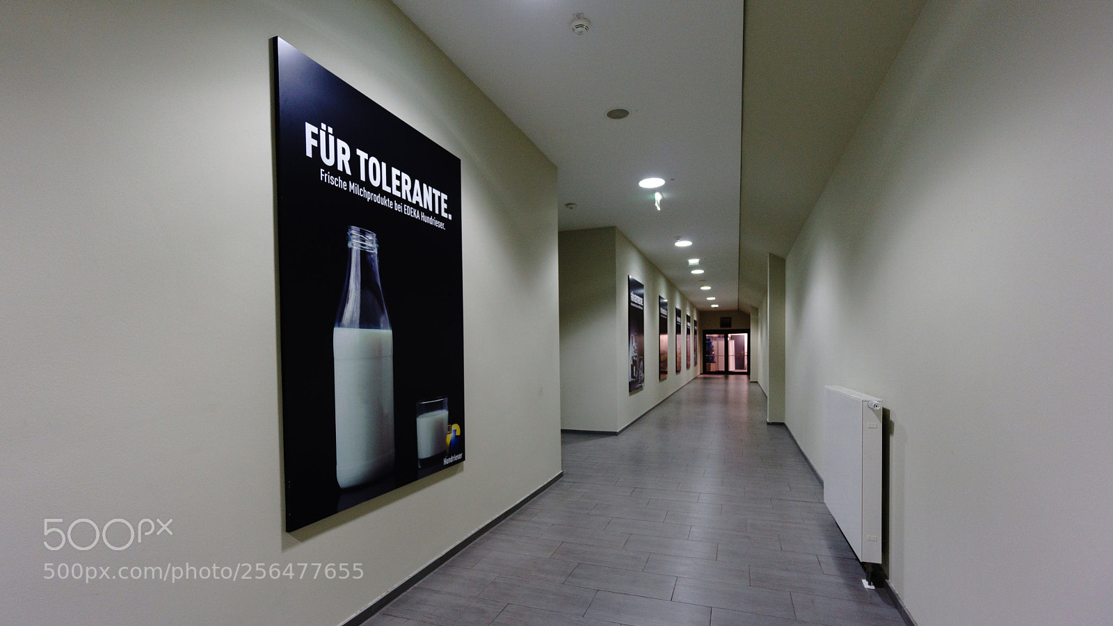 Sony a6000 sample photo. Tolerance and milk?! photography