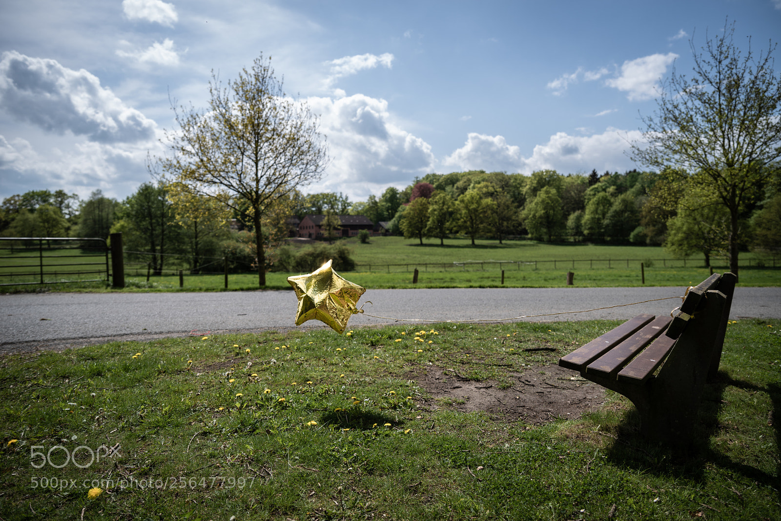 Pentax K-1 sample photo. Photography-jw-1 photography